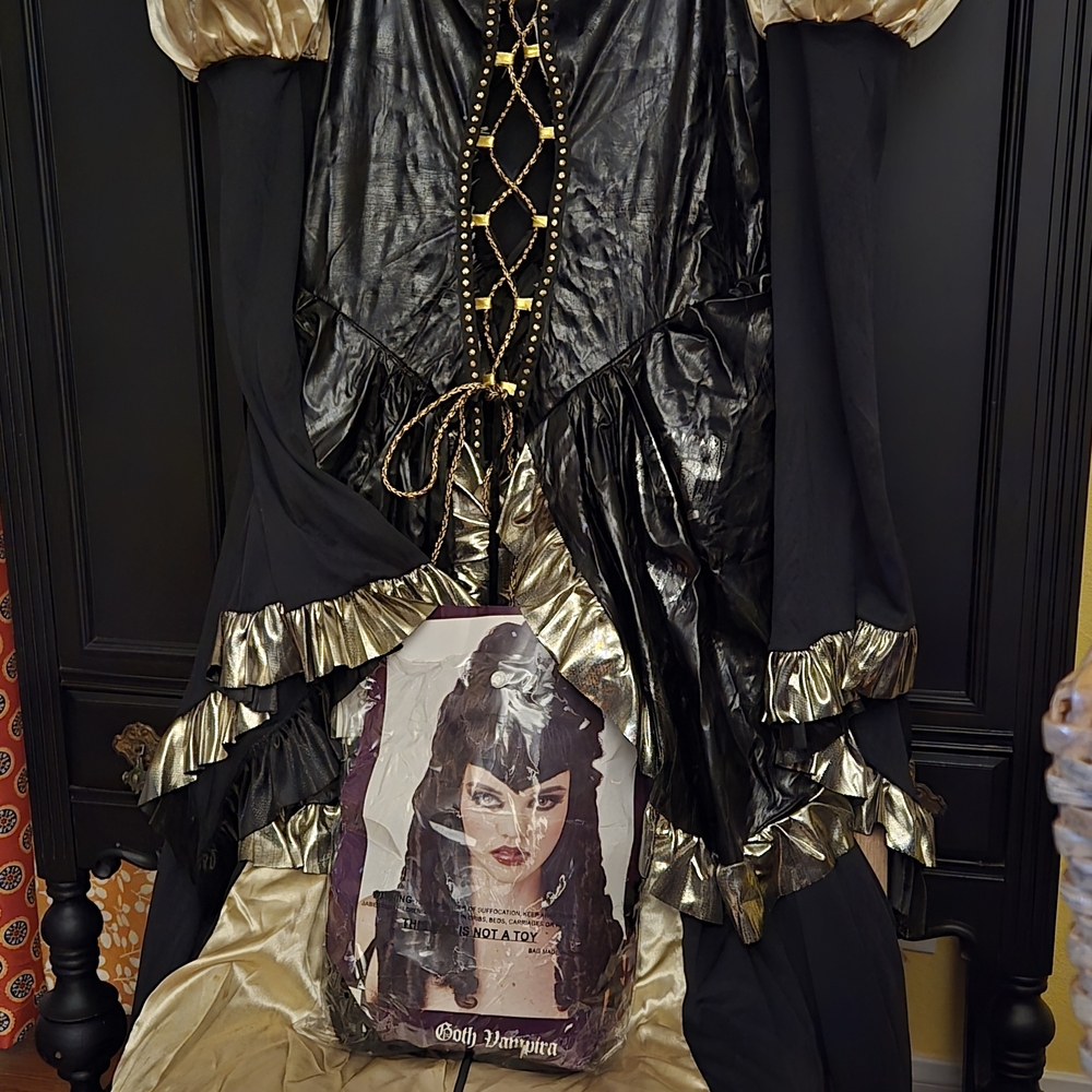 Gothic Black and Gold Women's Costume